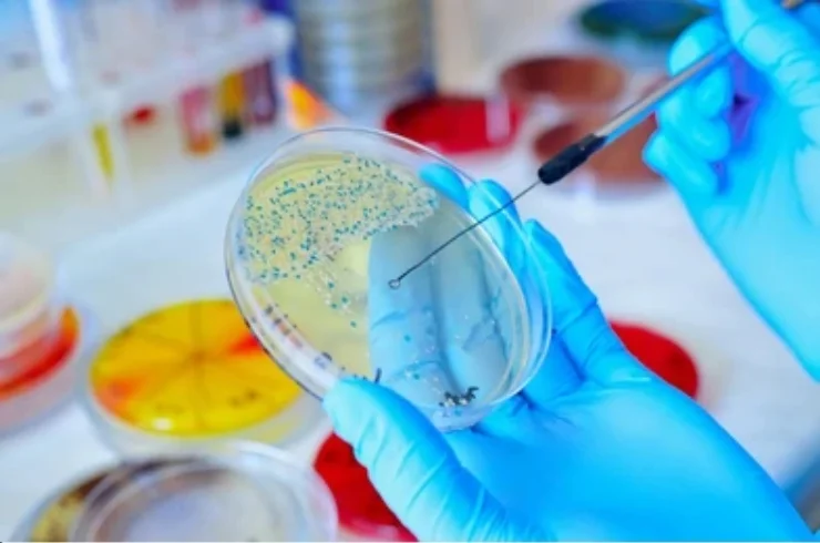 Microbiology Testing----11