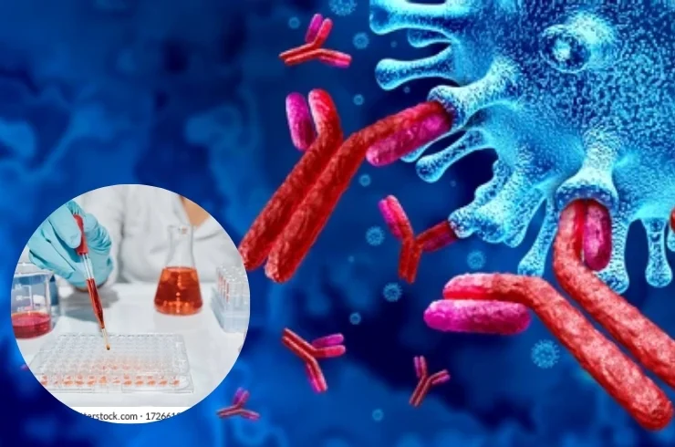 Serology & Immunology-----11